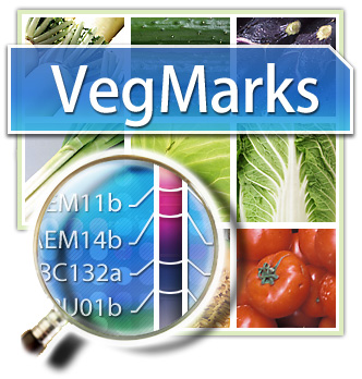 VegMarks : a DNA marker database for vegetables